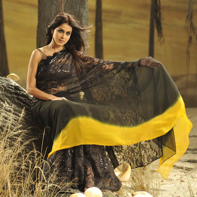 Genelia's 10 Unforgettable Saree Looks