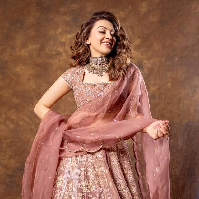 Hansika looks alluring in a Brown intricately Embellished Lehenga