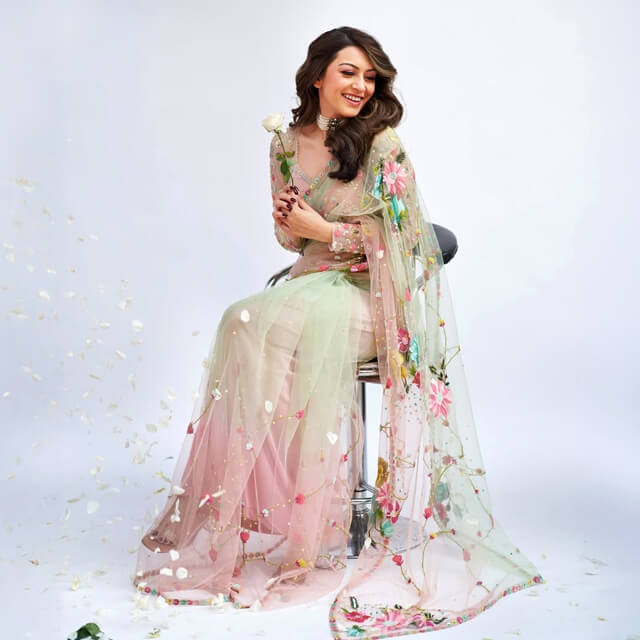Hansika Motwani brings spring charm in a Pastel Foral Net Saree