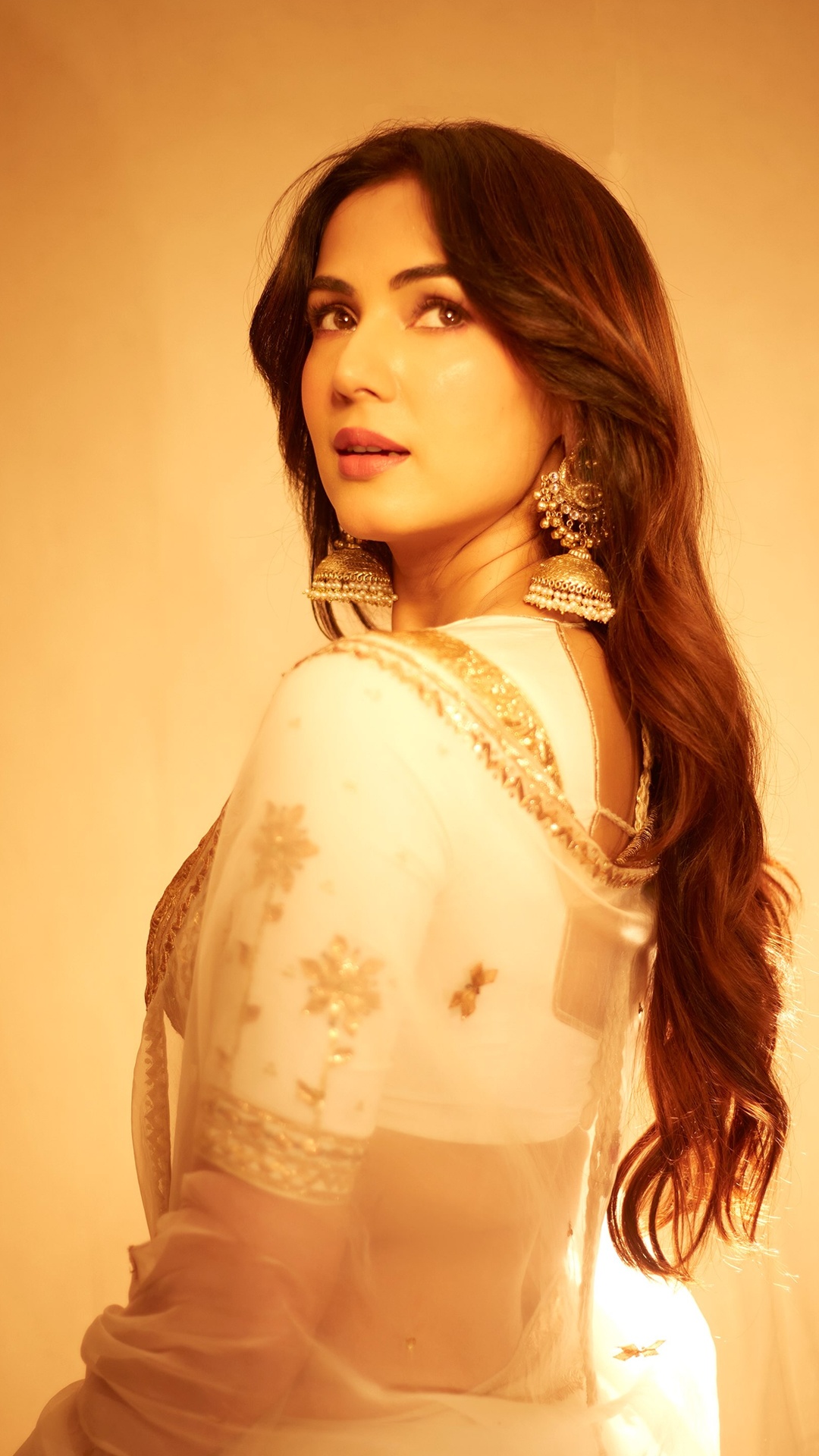 Sonal Chauhan's Recent Photoshoot - Sheer fabric becomes more apparent across the pallu, where small gold floral motifs sit between the ornate border and create a lighter visual rhythm.