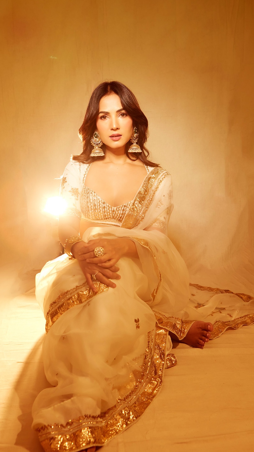 Sonal Chauhan's Recent Photoshoot - The Baise Gaba saree uses a sheer ivory base with a broad gold border, giving the fluid drape a defined edge without overwhelming its delicate surface.